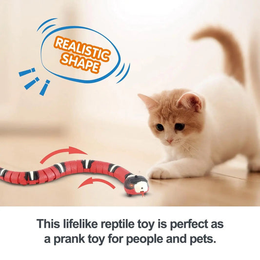 SnakeSense™ | Intelligent sensory toys for cats
